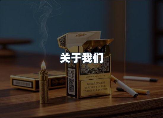 专业团队